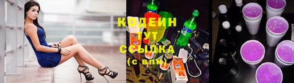 дурь Няндома