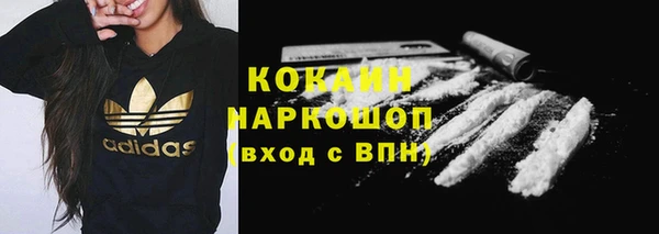 дурь Няндома