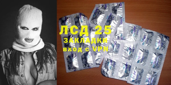 дурь Няндома