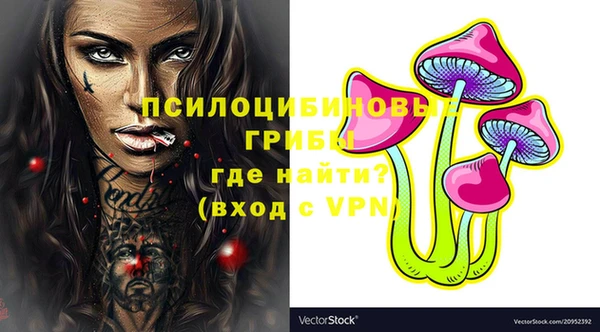 гидропоника Абаза