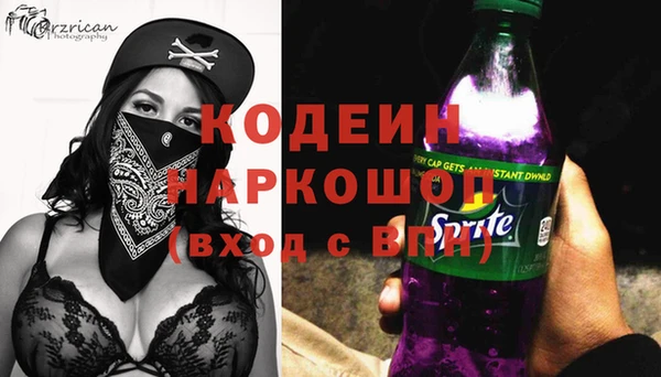 дурь Няндома