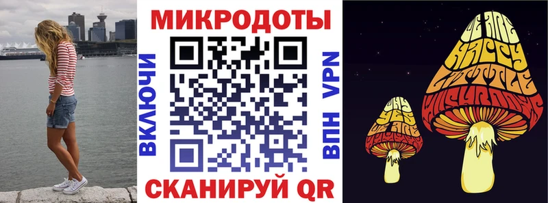 Галлюциногенные грибы GOLDEN TEACHER  купить   Советск 