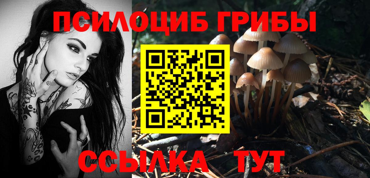 Псилоцибиновые грибы GOLDEN TEACHER Советск