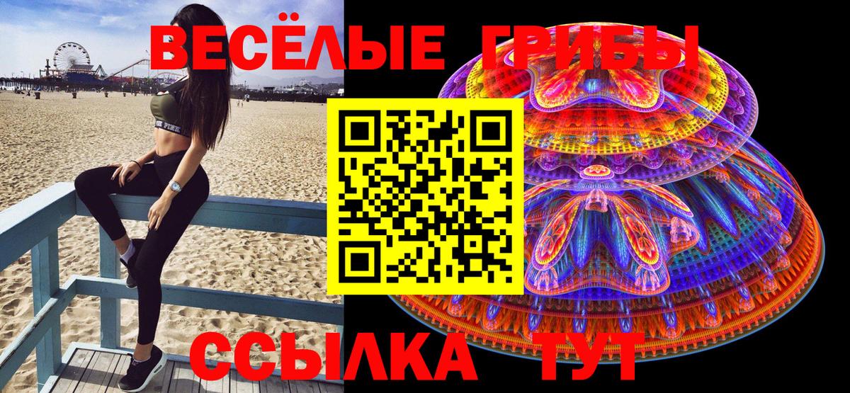 сколько стоит  Вход с VPN  Советск  Псилоцибиновые грибы Magic Shrooms 